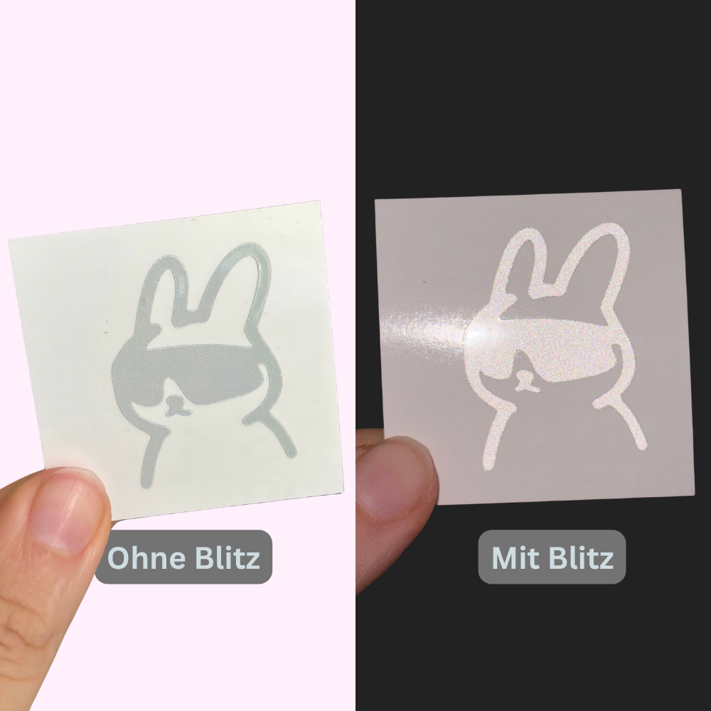 Reflective Aero Bunny