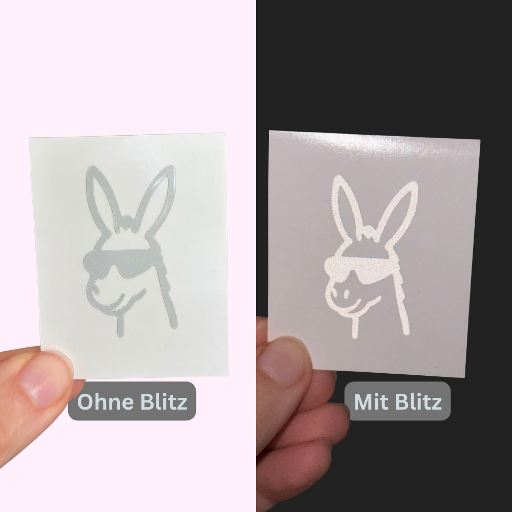 Reflective Donkey Dash