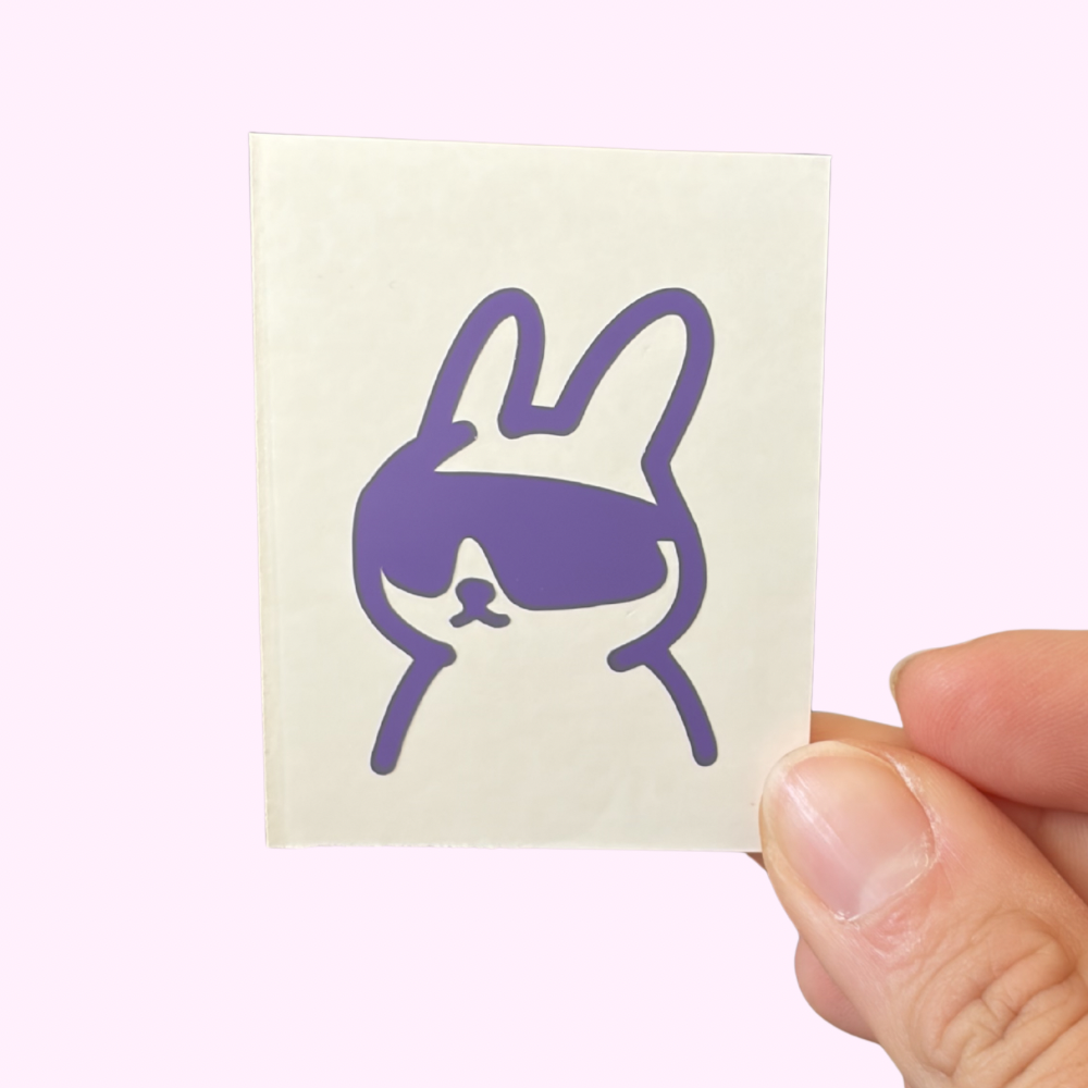Aero-Bunny