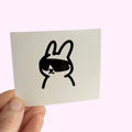 Aero-Bunny