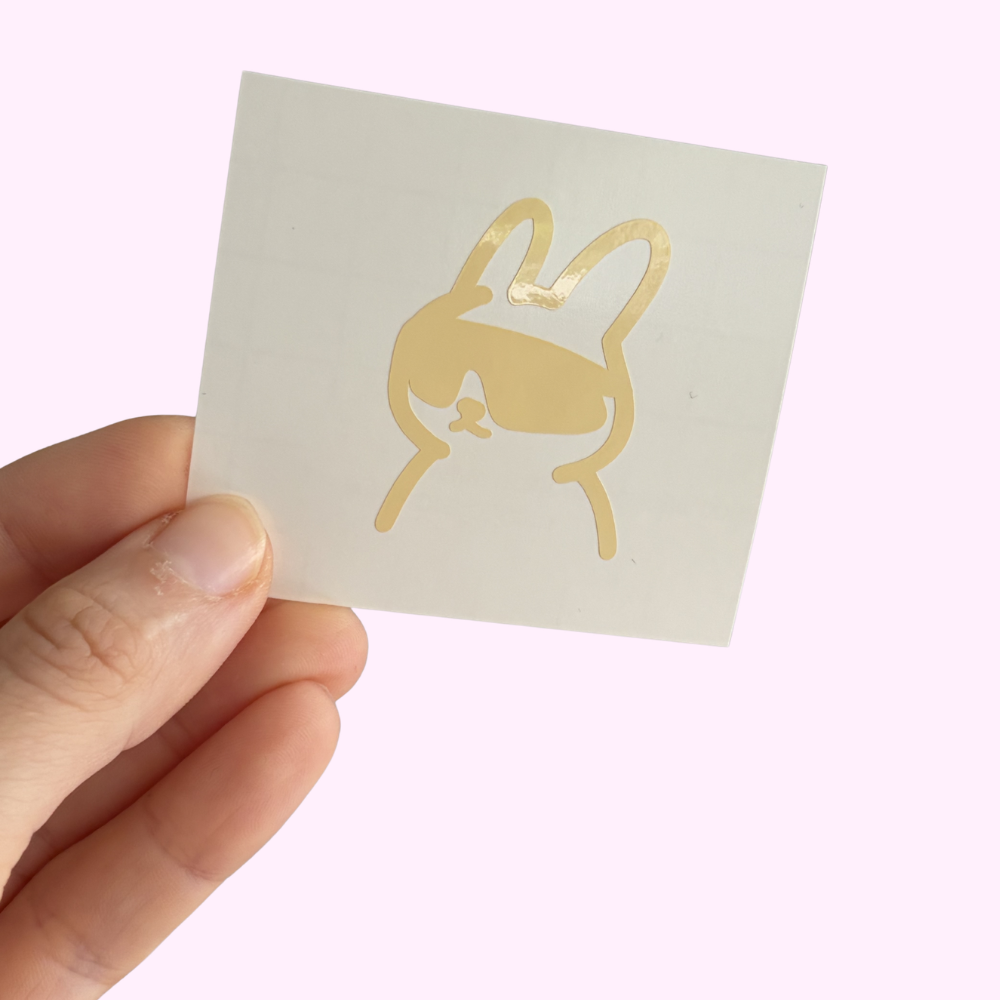 Aero-Bunny